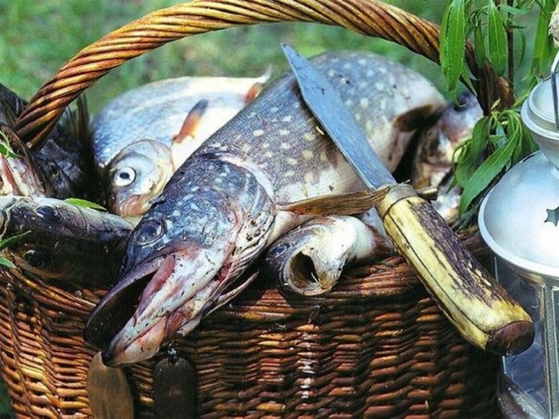 Как солить и вялить рыбу
