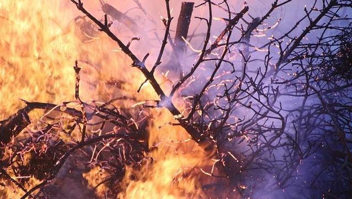 В Бурятии потушили пять лесных пожаров