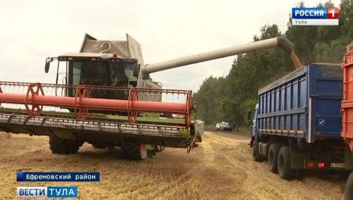 ИКАР повысил прогноз сбора пшеницы в России на 2020 год до 78 миллионов тонн