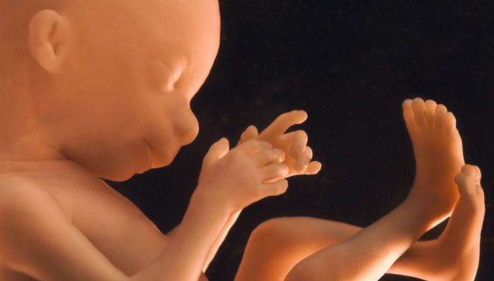 Минздраву США запретили слова "эмбрион" и "трансгендер"