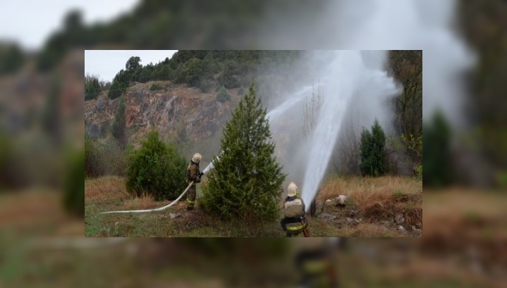 Пожарные заступили на круглосуточное дежурство в Ласпи
