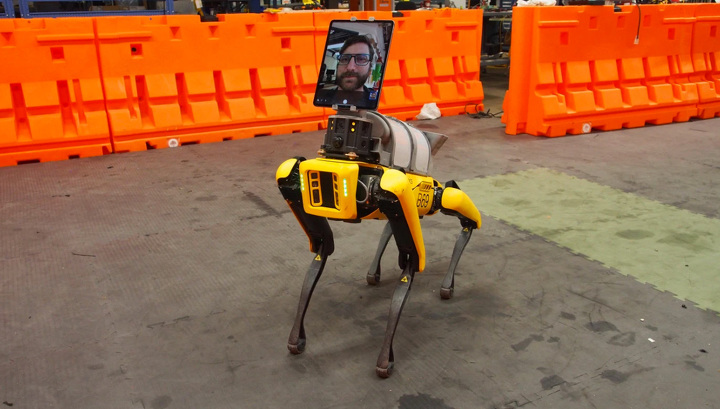 Робопсу Boston Dynamics нашли применение в телемедицине