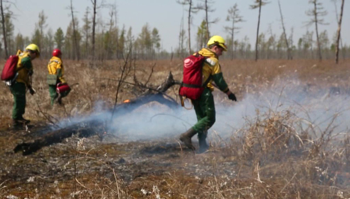 Природные пожары: в России горит 60 тысяч гектаров леса