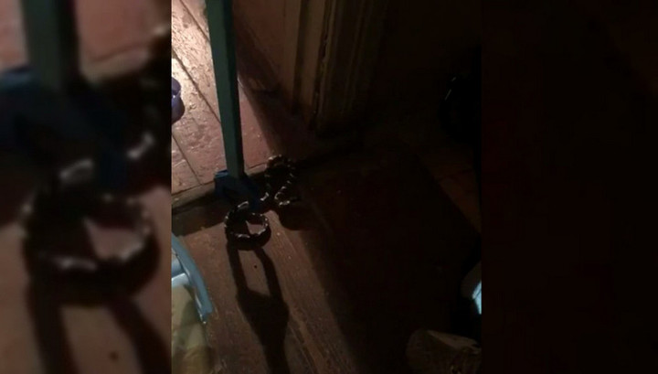 Метровая змея заползла в квартиру в центре Москвы