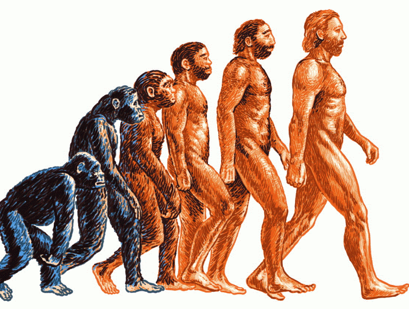 Что мы знаем о современных теориях эволюции?