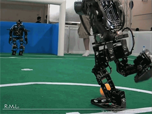 Американские ученые создали живых роботов
