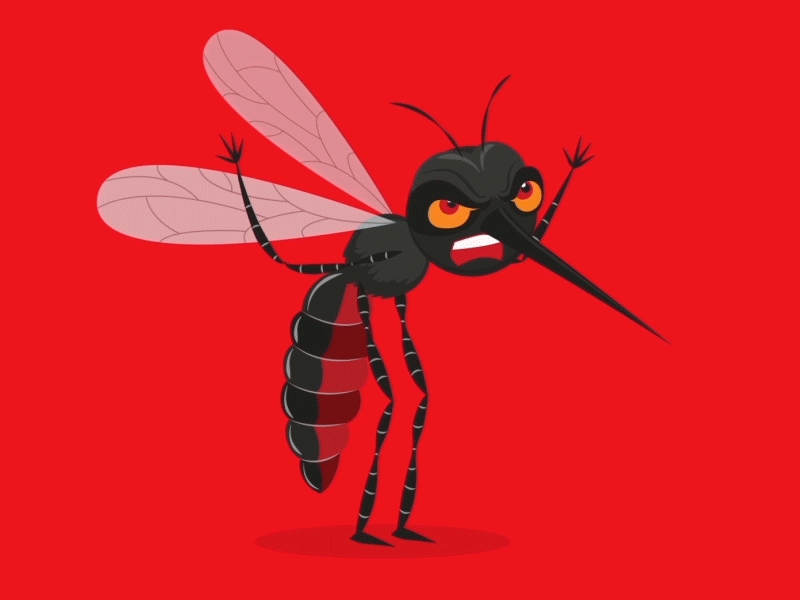 Малярийная муха. Комар. Комар анимация. Комар гиф. Комары мультяшные.