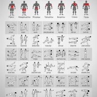 Таблицы тренировок