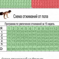 Таблицы тренировок