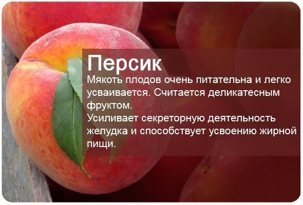 Фруктовая энциклопедия