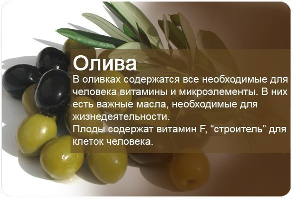 Фруктовая энциклопедия