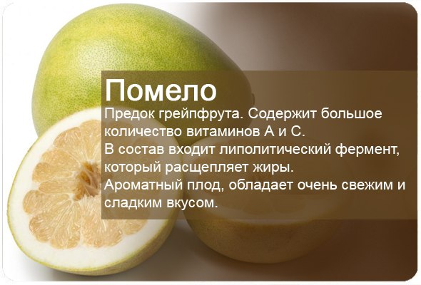 Фруктовая энциклопедия