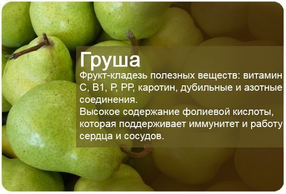 Фруктовая энциклопедия