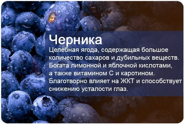 Фруктовая энциклопедия