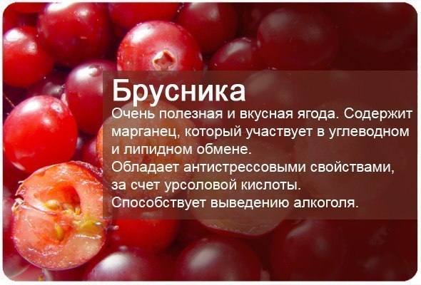 Фруктовая энциклопедия