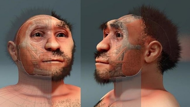 Homo erectus: внешность и быт предка современного человека