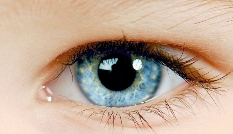 Искусственный интеллект определил возраст детей по движениям их глаз