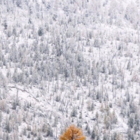 30 фото о том, что зима творит чудеса покруче фото...