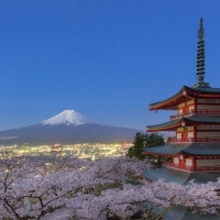 Весеннее цветение сакуры