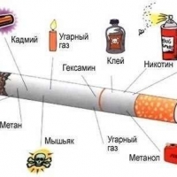 Женское здоровье