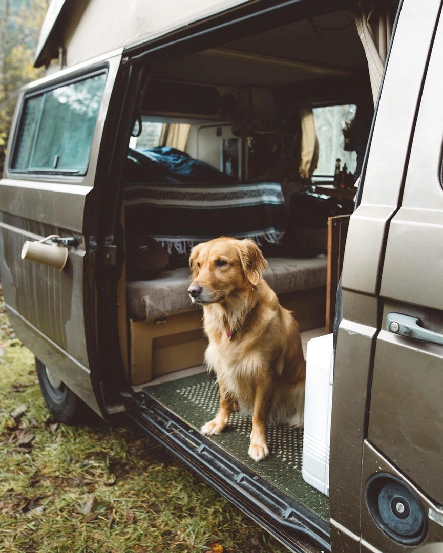 Жизнь прекрасна