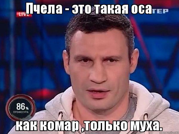 Кличко цитаты