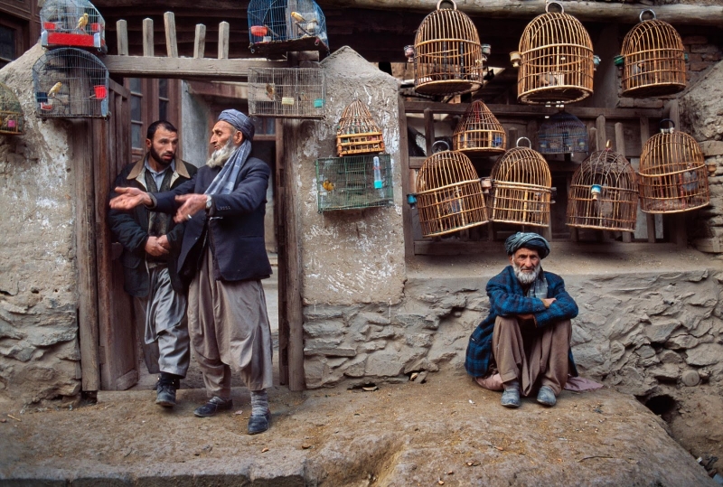 Птичий рынок, Афганистан