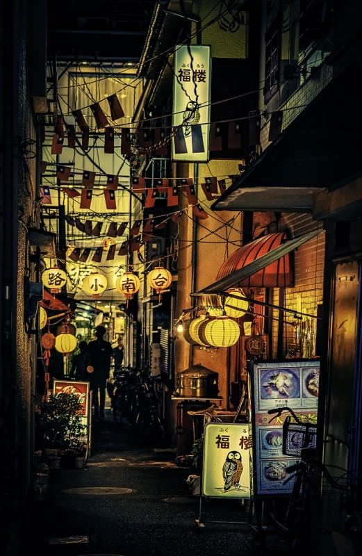 Графичная красота ночной Японии