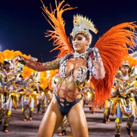 Проходящий в Бразилии карнавал