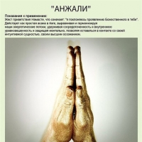МУДРЫ