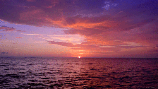Красное море — самое молодое, самое соленое, самое красивое и самое богатое