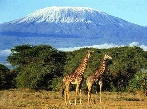 10 фактов о Танзании