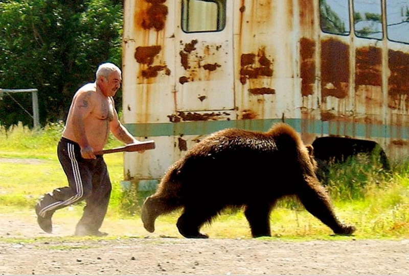 А что делать, если медведь нападёт?