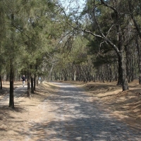 COLOMOS GUADALAJARA
