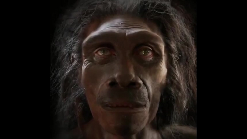 Эволюция человека за 6 000 000 лет