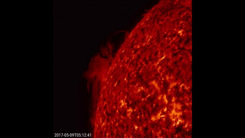 Two Prominences Unraveling
