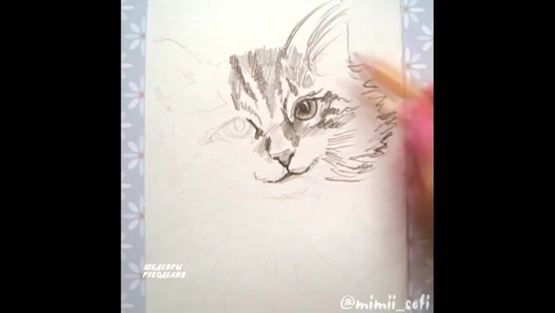 Рисуем котика