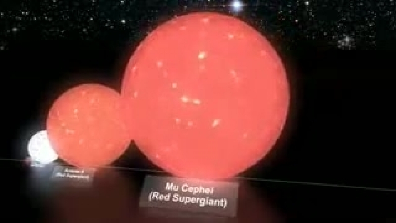 Star Size Comparison - Сравнение Размеров Звезд