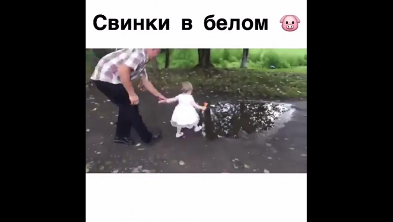 Свинки в белом )) Тяжело быть отцом близнецов )