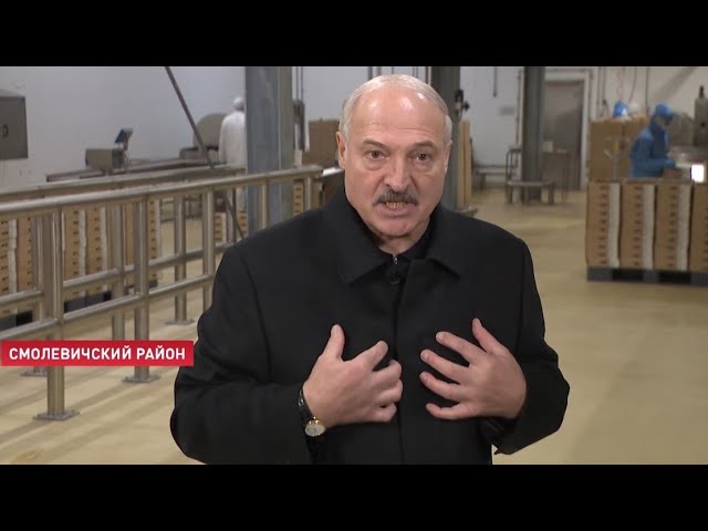 Лукашенко о коронавирусе: Люди, возьмитесь за голову и успокойтесь! Не надо беситься от психоза!