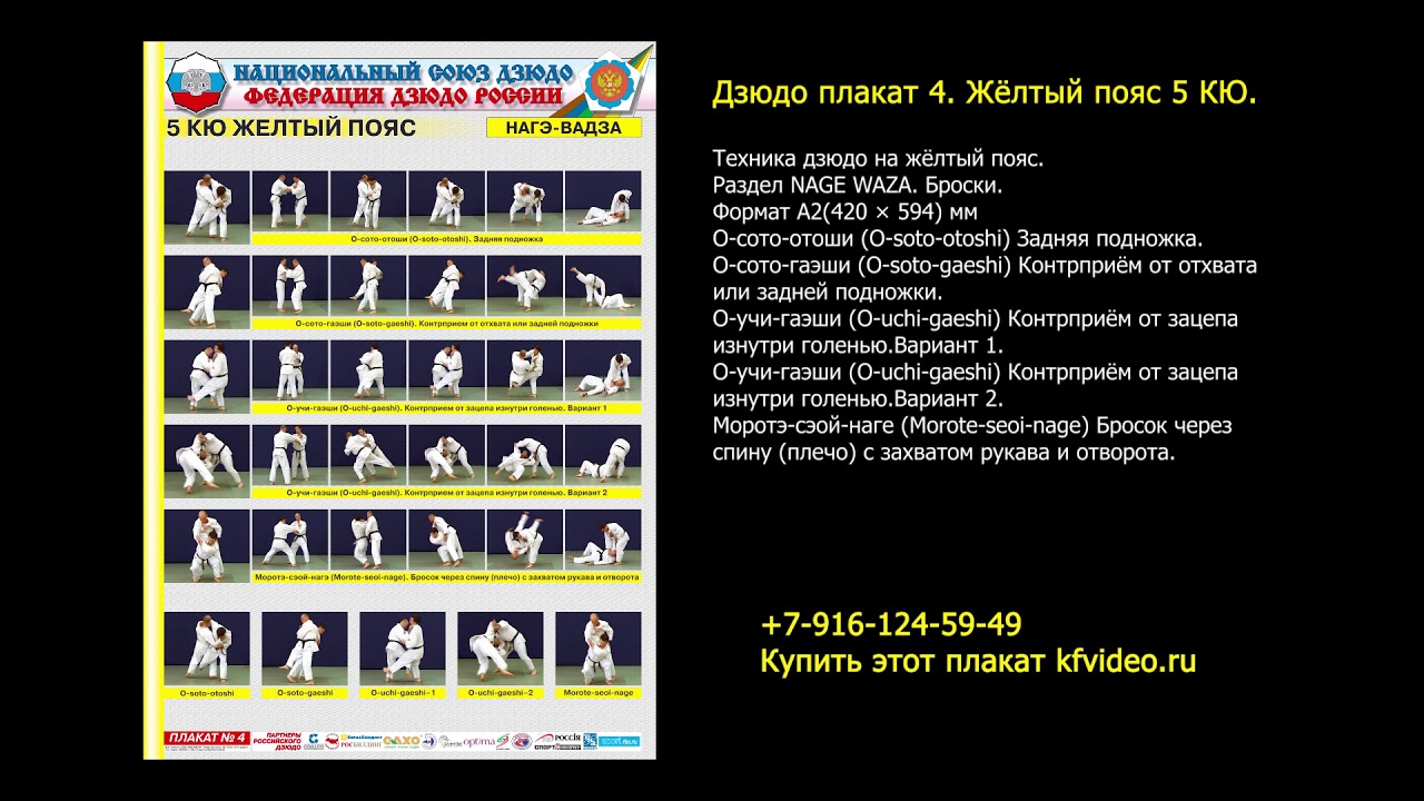 Сдача на пояс по дзюдо. Требования и материалы в плакатах и на видео. kfvideo.ru