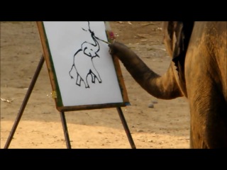 Слон рисует