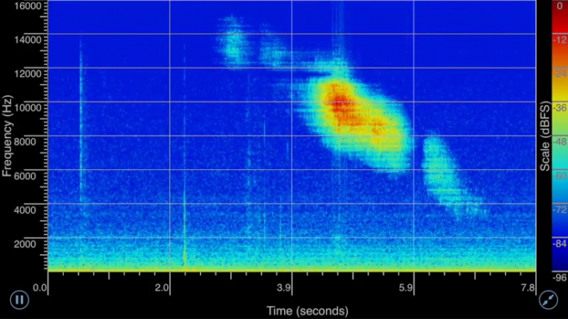 Audio of a fast radio burst FRB 121102