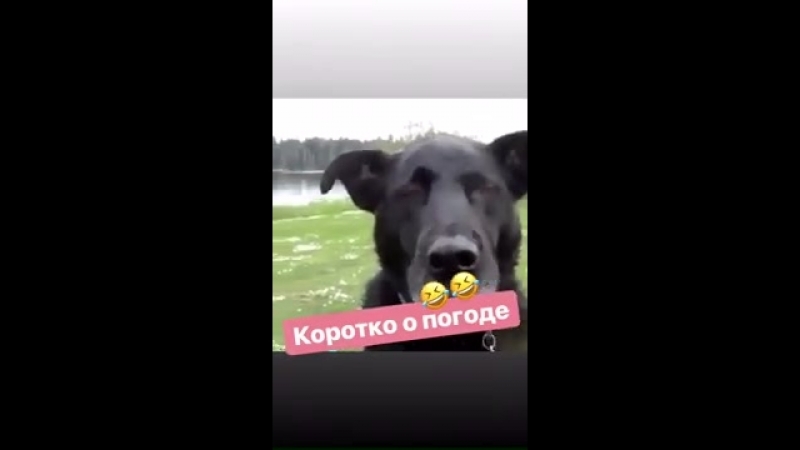 Коротко о погоде