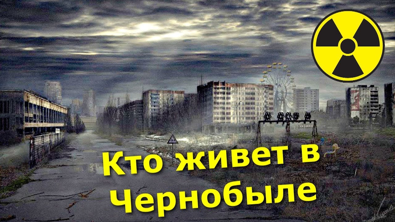 ✅Кто живёт в Чернобыльской Зоне? ☢ Как помочь отшельникам самосёлам в радиоактивном лесу
