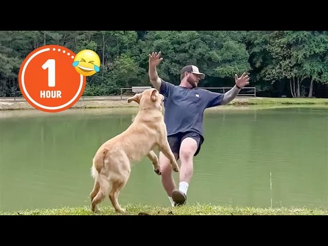 FUNNIEST Pets of 2024...So Far ? | BEST Compilation