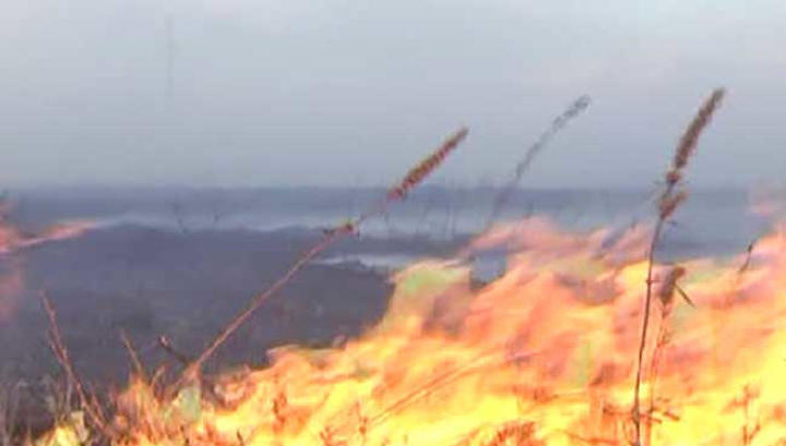 В Читинском районе полсотни человек ведут борьбу с крупным пожаром