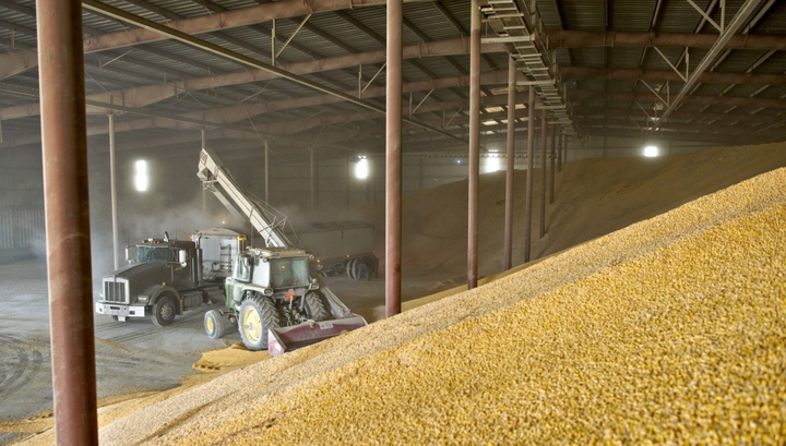 Товарные интервенции на рынке зерна в России начнутся 13 апреля