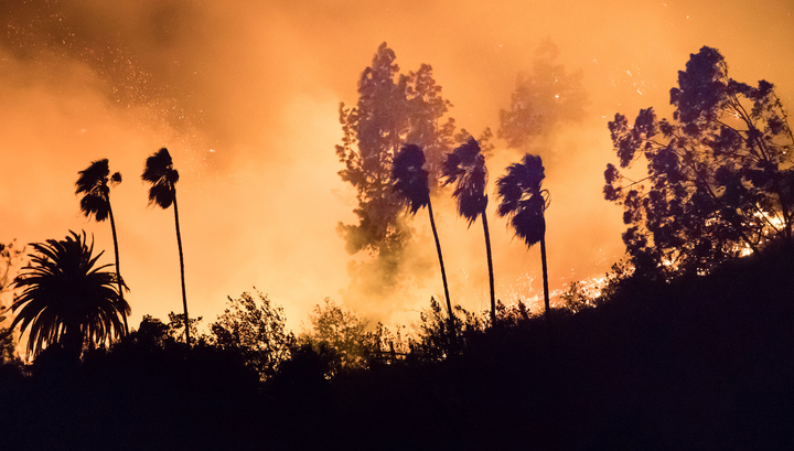 Площадь пожара "Томас" В Калифорнии составляет уже более тысячи квадратных километров