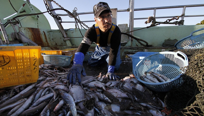 Эксперт объяснил, почему морепродукция из Фукусимы безопасна для россиян